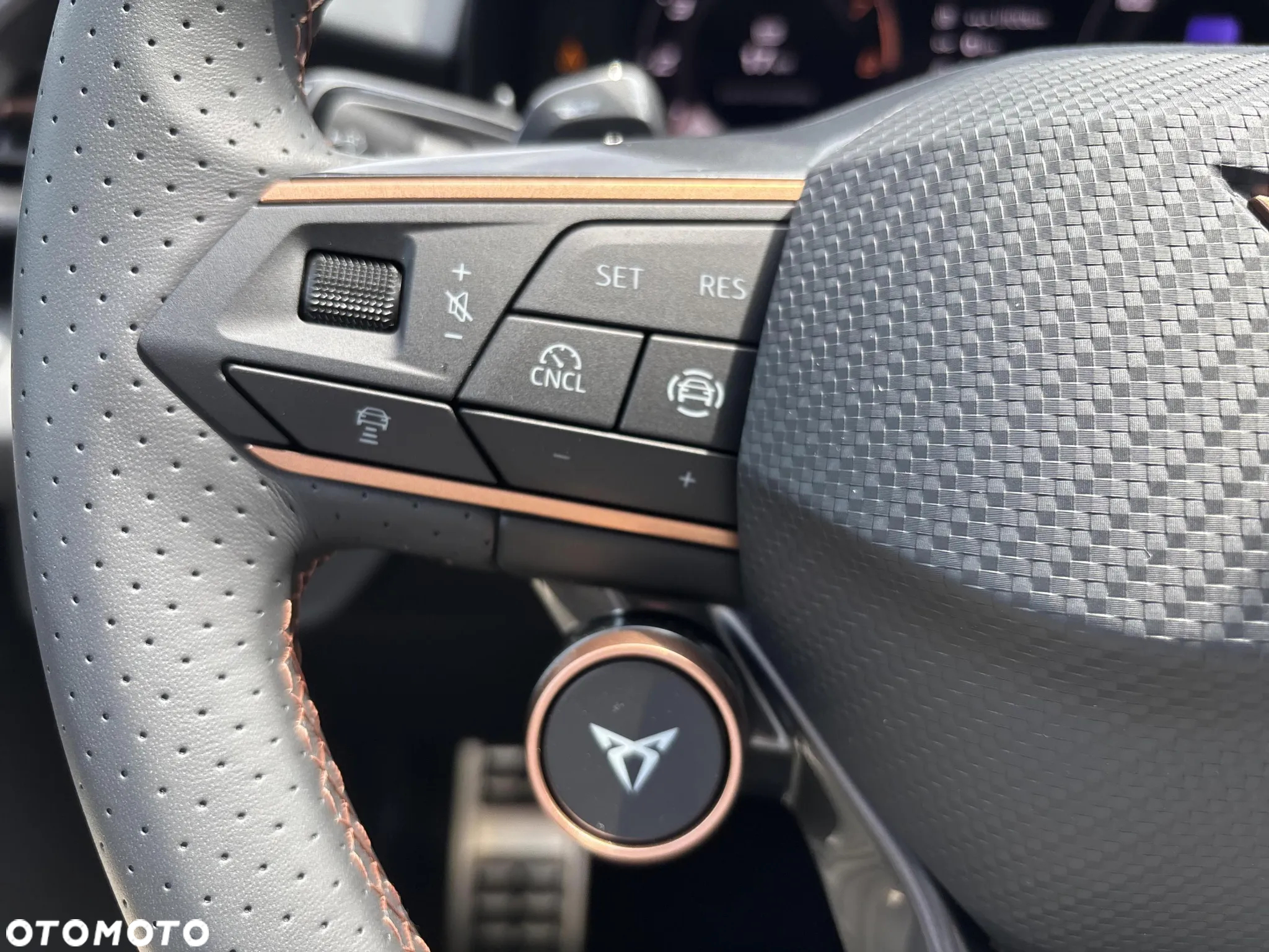 Cupra Terramar 2.0 TSI 4Drive DSG - 21