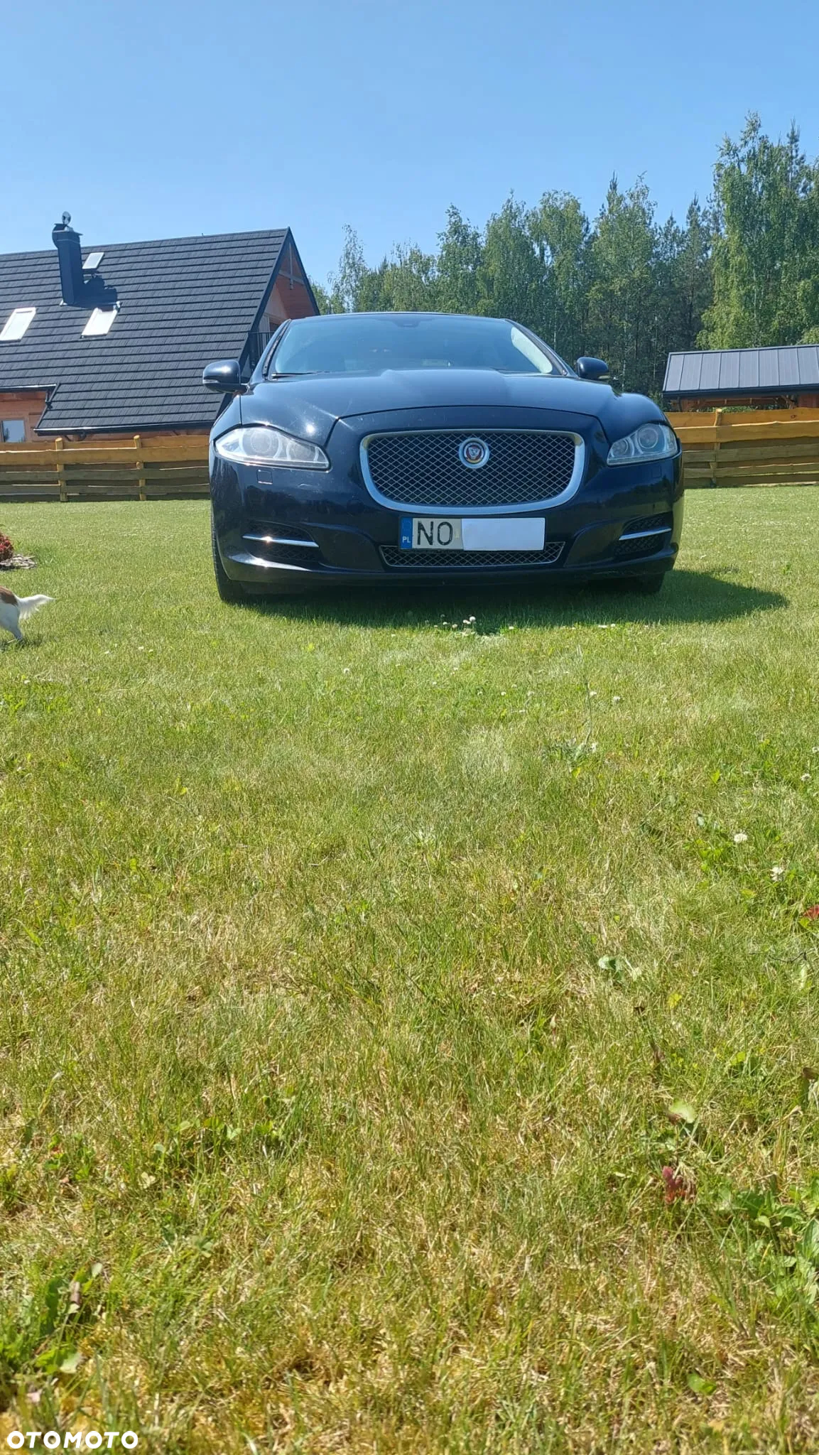 Jaguar XJ 5.0 V8 LWB Portfolio - 4