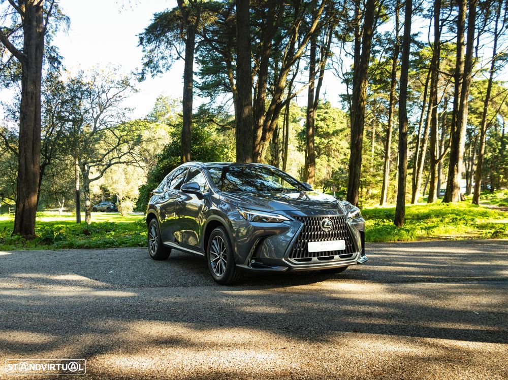 Lexus NX 350h Executive+ - 6