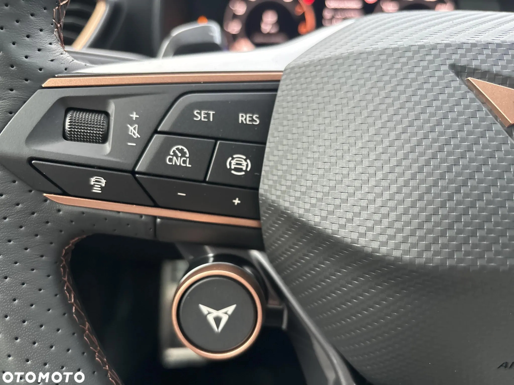 Cupra Formentor 2.0 TSI 4Drive DSG - 16