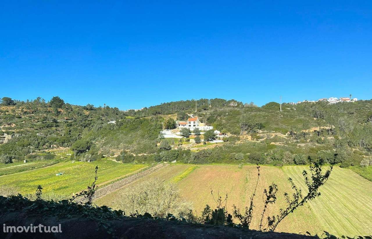 Terreno Rústico no Lameirão em Malpica do Tejo, Castelo Branco - Grande imagem: 3/5