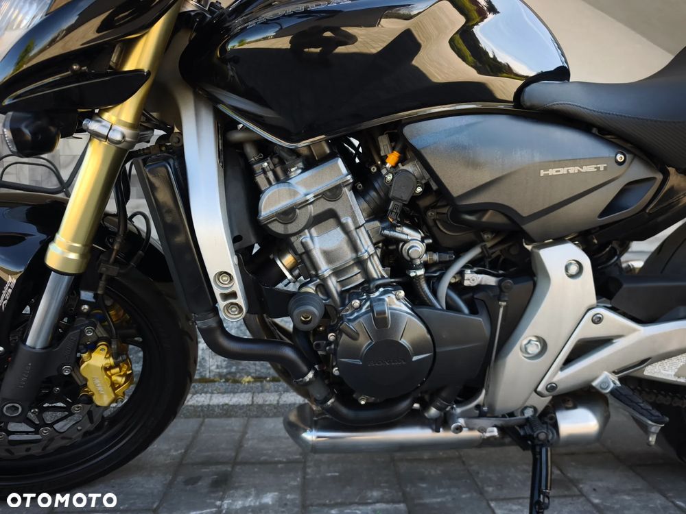 Honda Hornet - 23