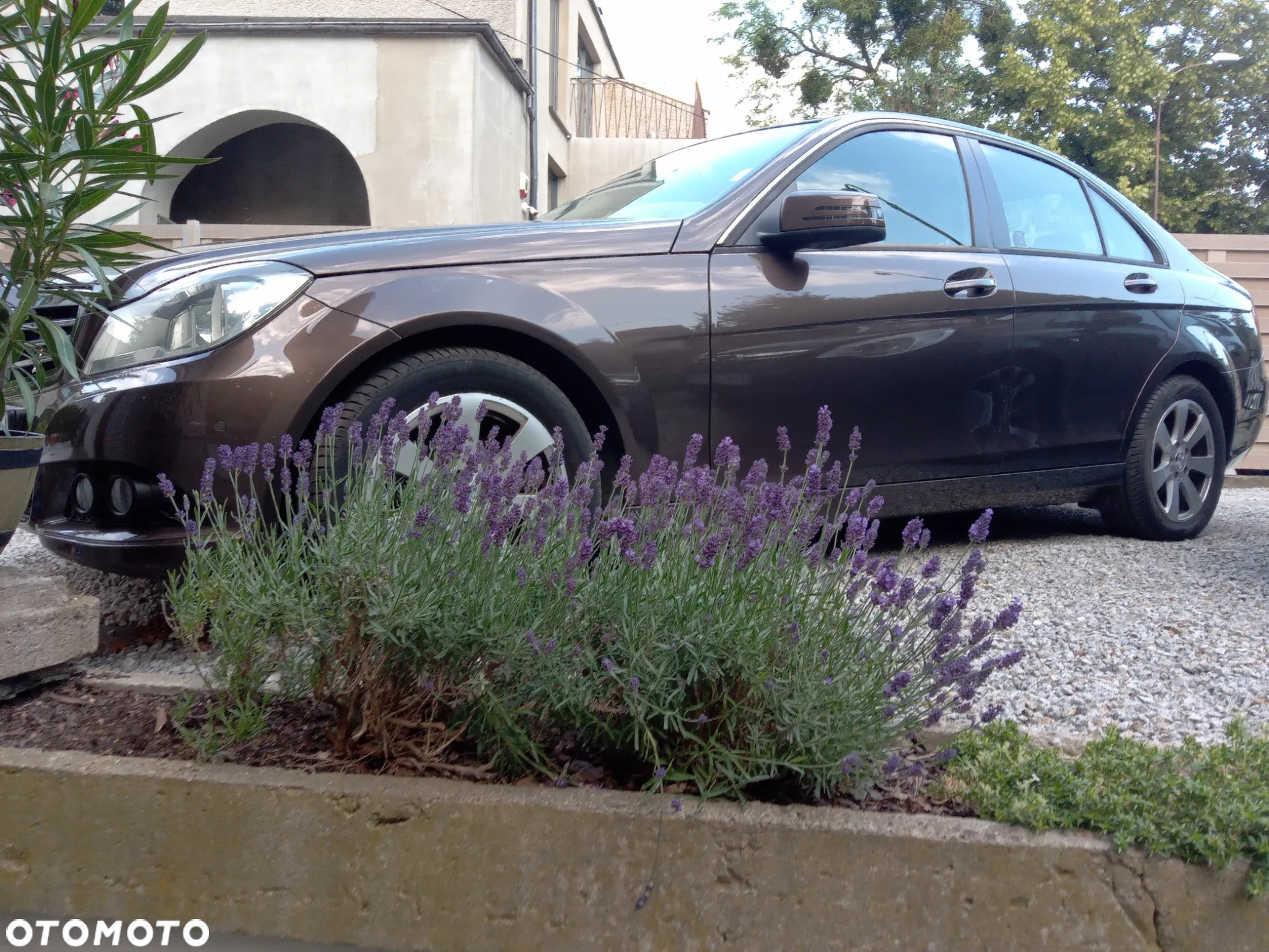 Mercedes-Benz Klasa C 200 CDI Avantgarde Edition - 2