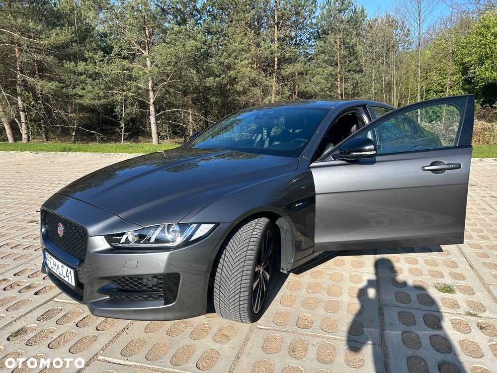 Jaguar XE - 13