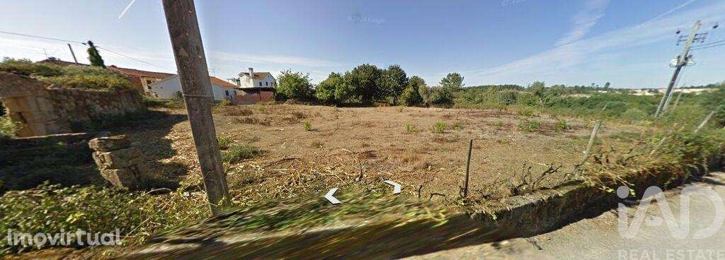 Terreno em São Martinho do Bispo e Ribeira de Frades - Grande imagem: 2/5