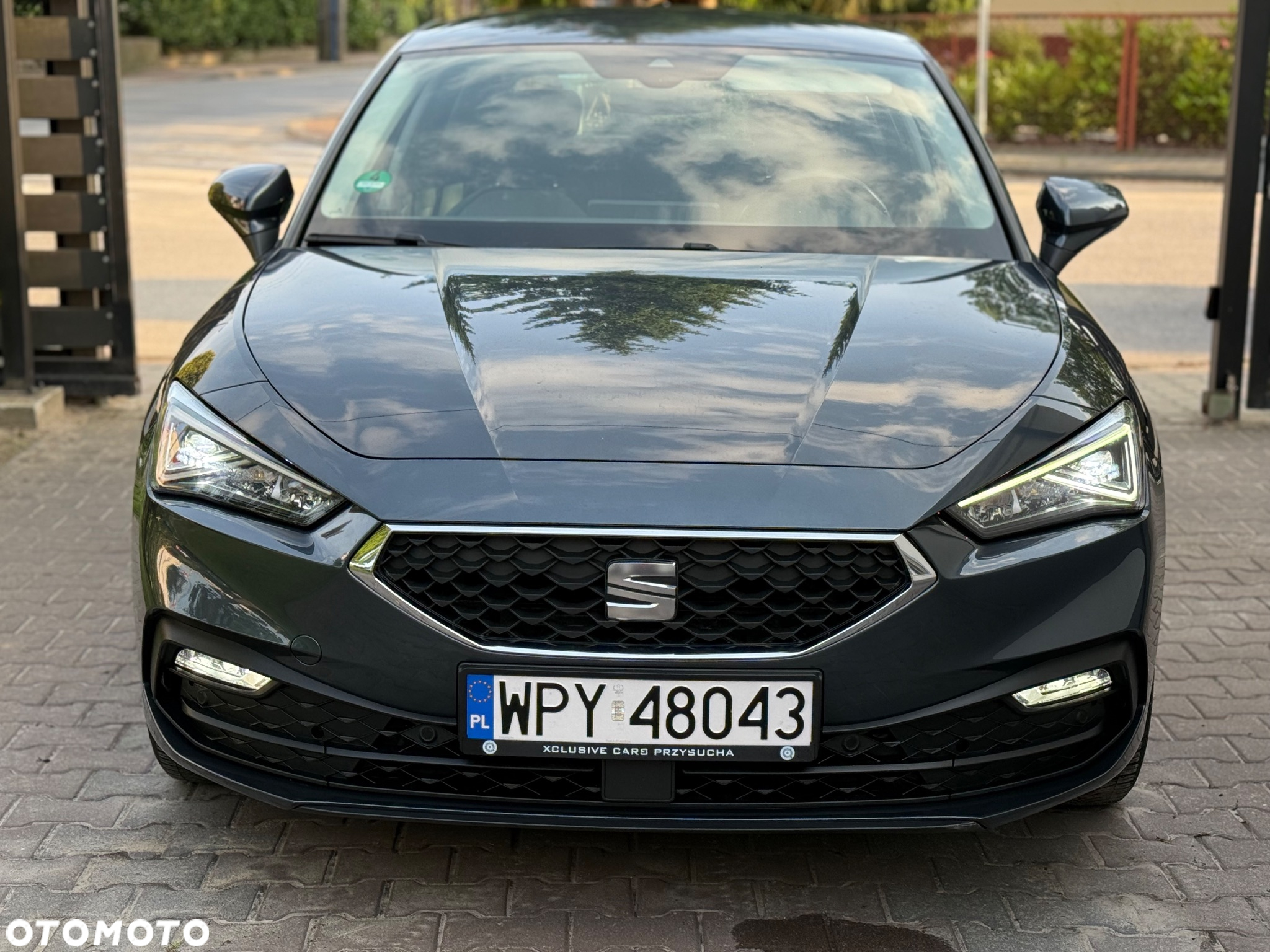 Seat Leon - 8