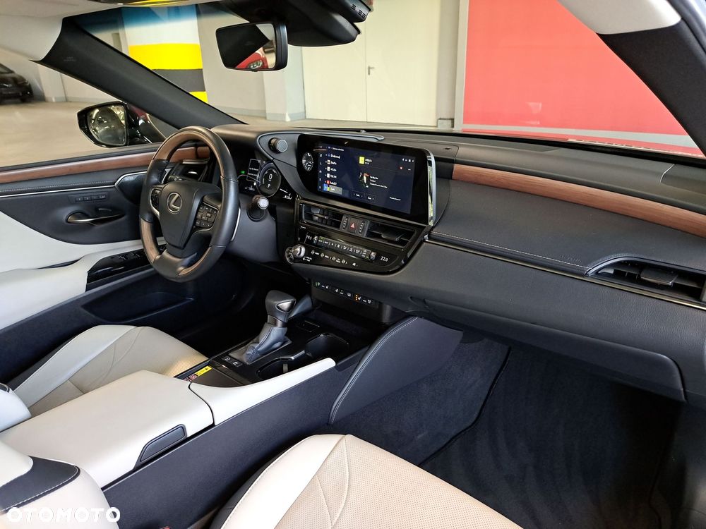 Lexus ES 300h Omotenashi - 16