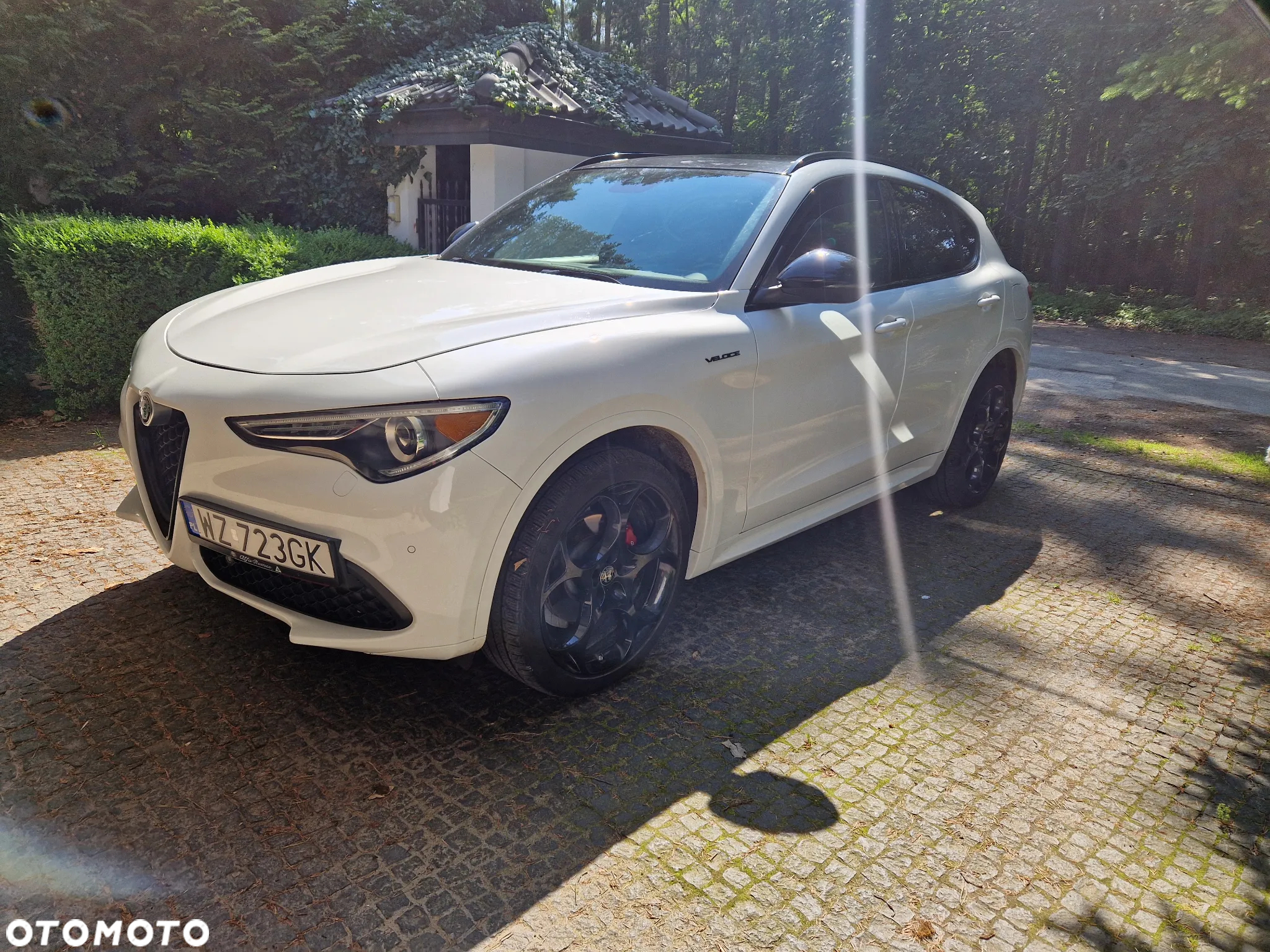 Alfa Romeo Stelvio 2.0 Turbo 16V AT8-Q4 Veloce - 3