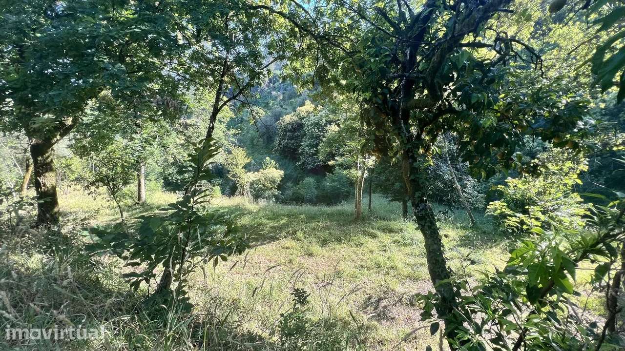Terreno Rustico em Seramil - Grande imagem: 2/7