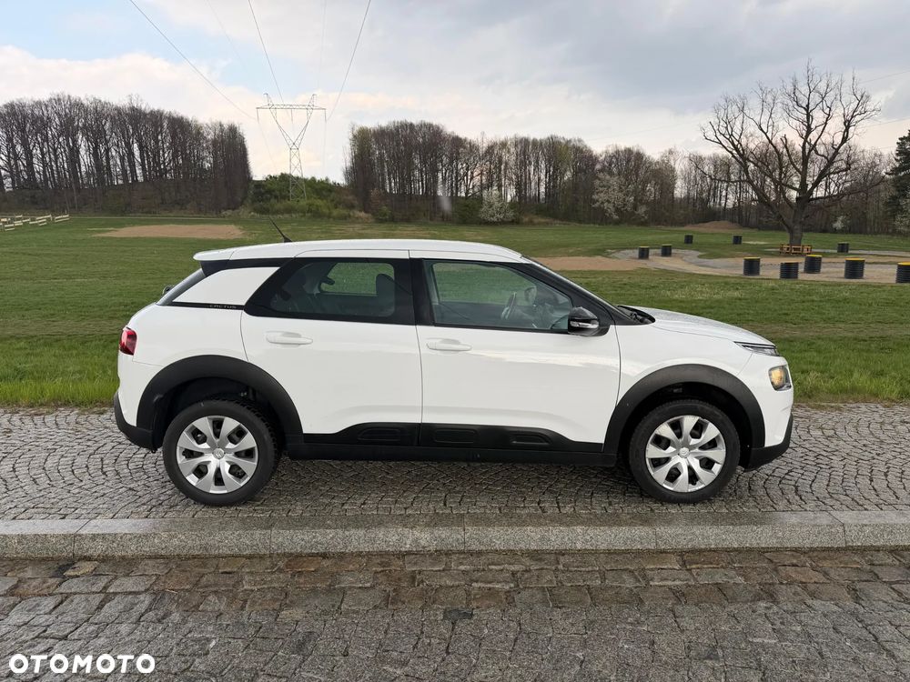 Citroën C4 Cactus 1.2 PureTech GPF Shine S&S EAT6 - 16
