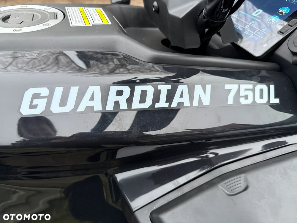 HISUN Guardian 750 - 4