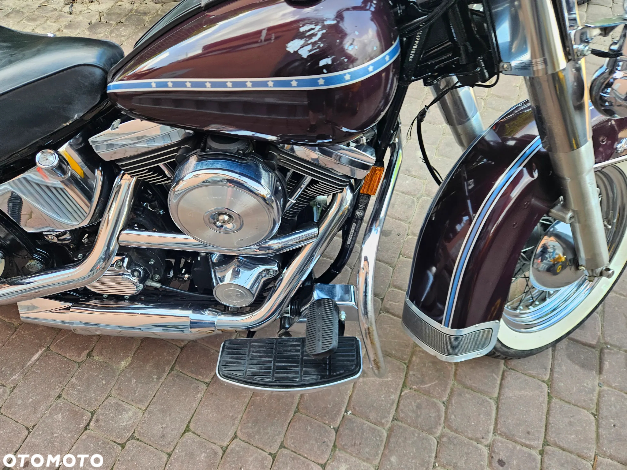 Harley-Davidson Softail Custom - 4