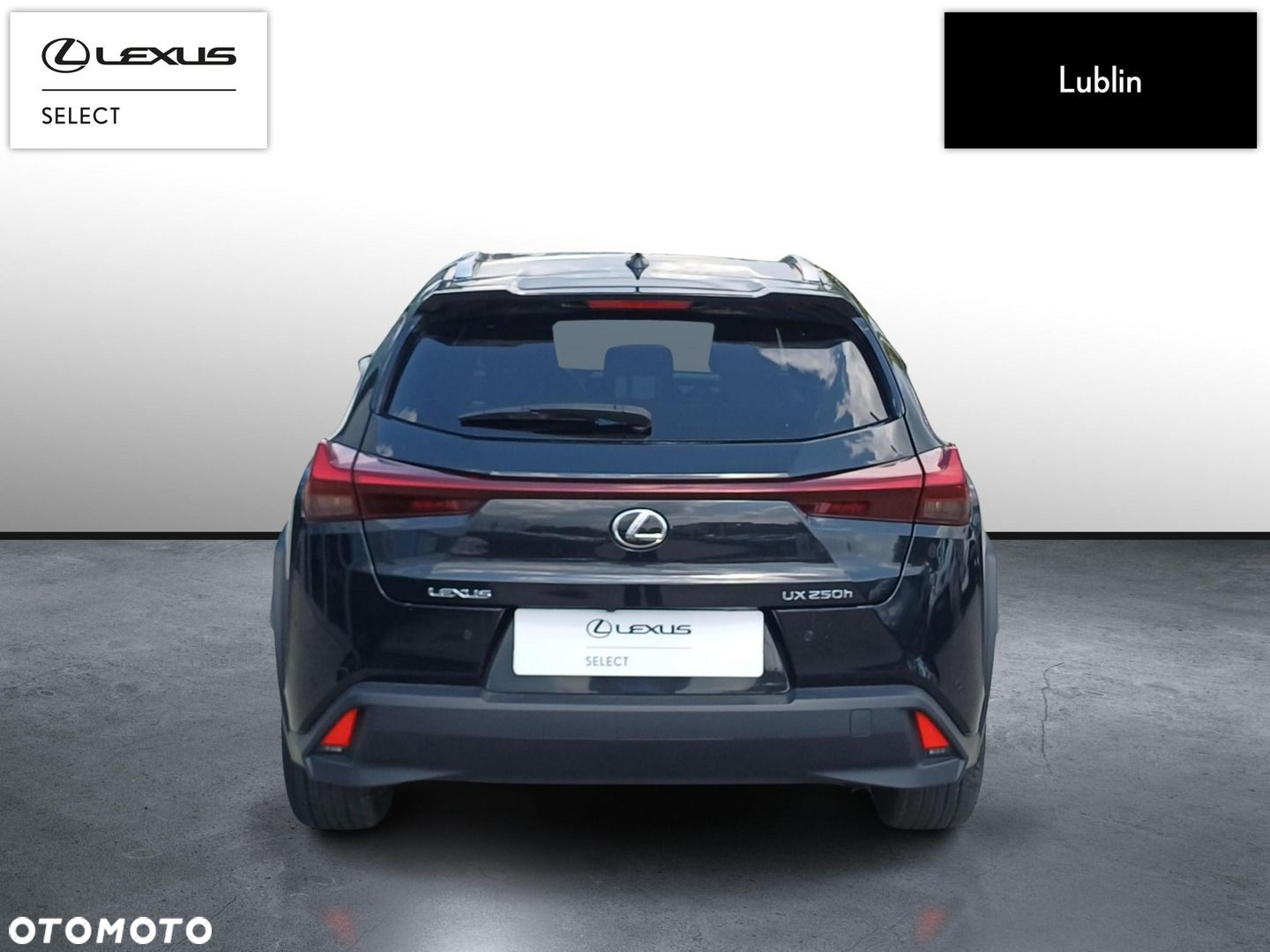 Lexus UX 250h GPF Business 2WD - 4