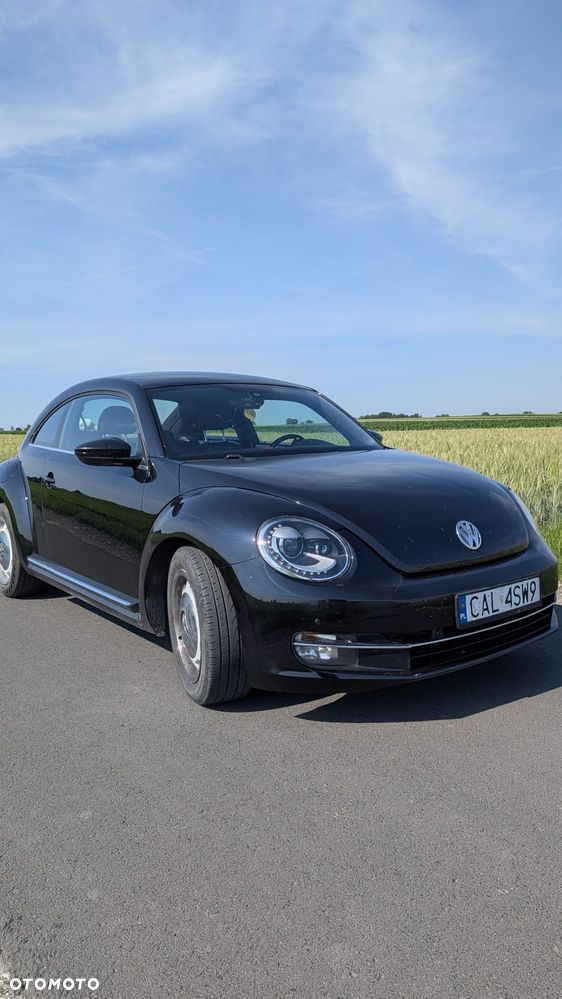 Volkswagen Beetle - 7