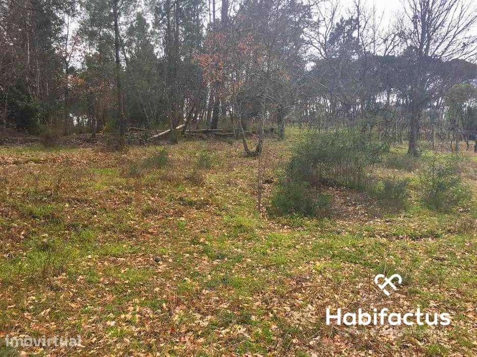 Terreno com viabilidade construtiva em Santar - Grande imagem: 5/7