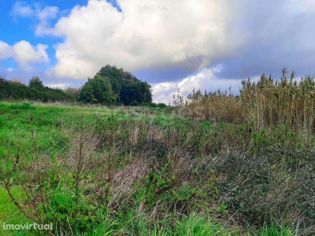 Terreno com cerca de 1500m², localizado na vila de Pataias - Grande imagem: 2/9