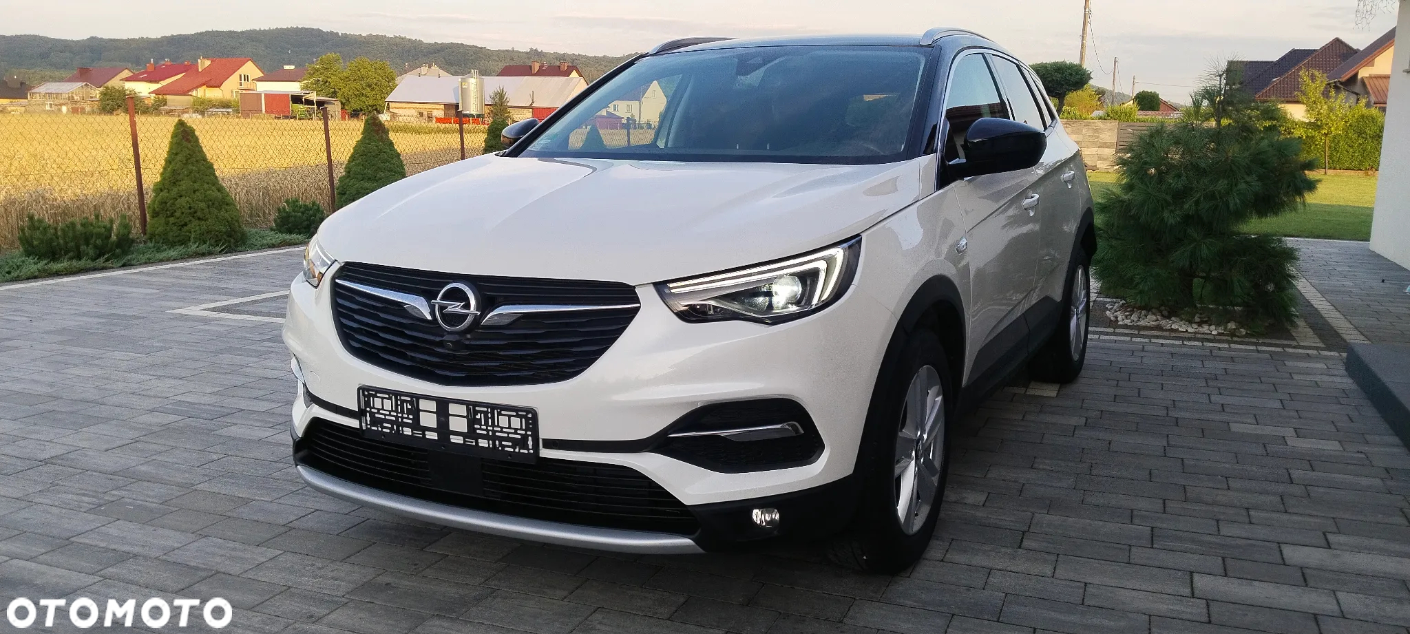 Opel Grandland X 1.6 T Ultimate S&S - 2