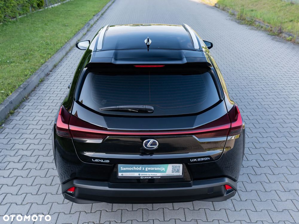 Lexus UX ver-250h - 11