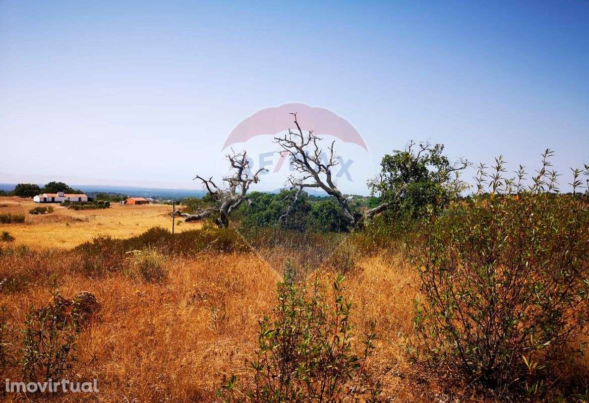 Terreno T0 para venda - Grande imagem: 3/26