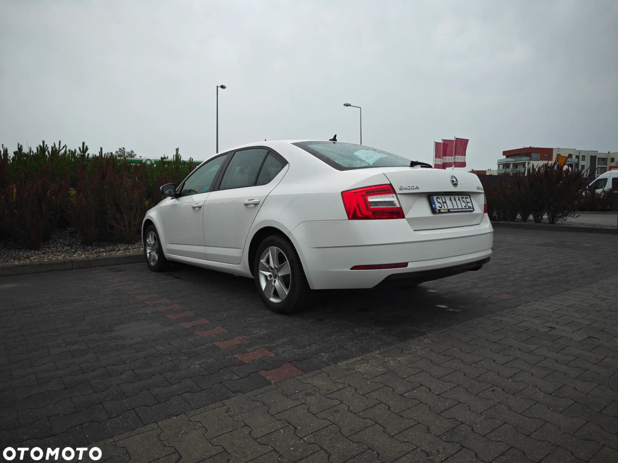 Skoda Octavia 1.6 TDI Ambition - 21