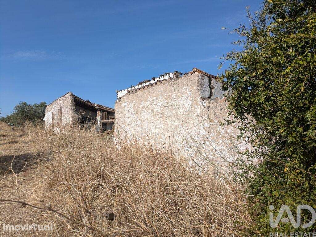 Quinta em  de 116 m2 - Grande imagem: 5/21