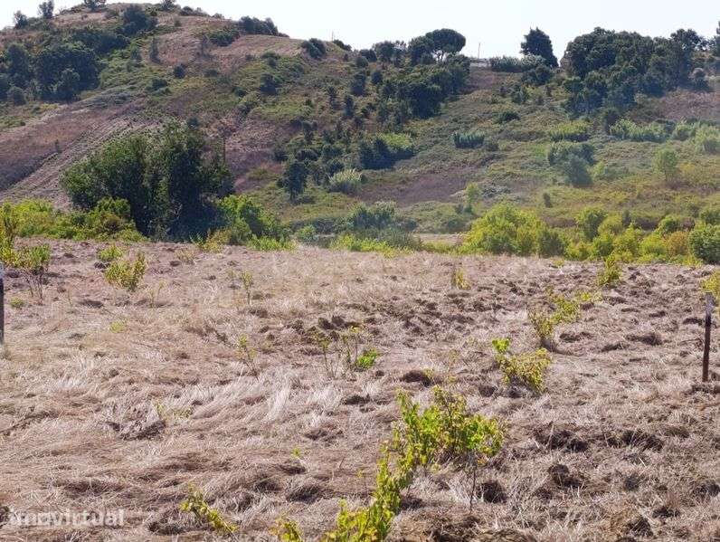 Terreno rustico en Azambuja - Grande imagem: 5/6