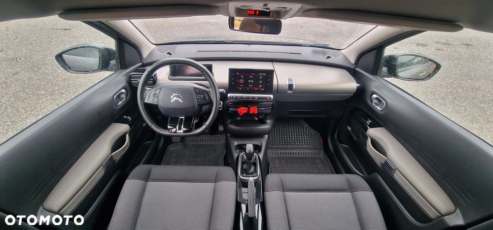 Citroën C4 Cactus - 14