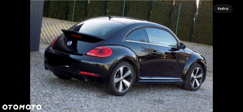 Volkswagen Beetle - 3