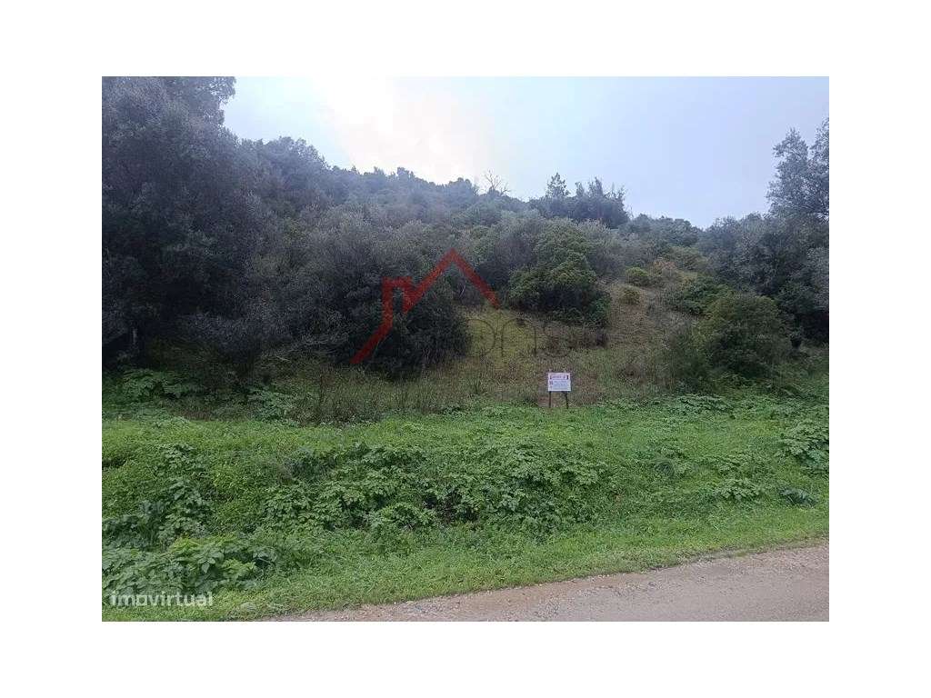 Terreno Natural Mexilhoeira Grande. - Grande imagem: 3/4