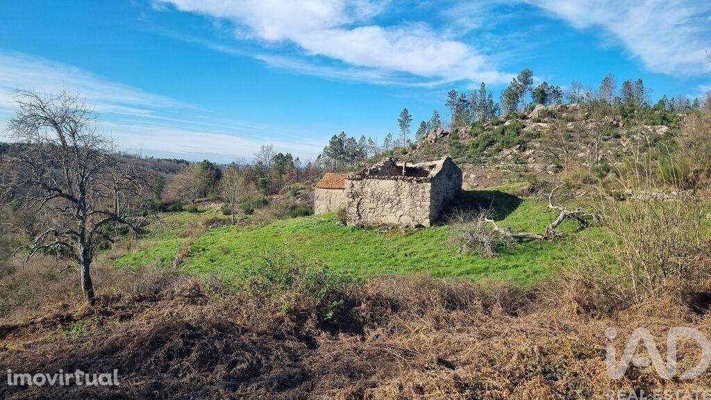 Terreno Agrícola em Cortiçô da Serra, Vide entre Vinhas e Salgueirais - Grande imagem: 3/36