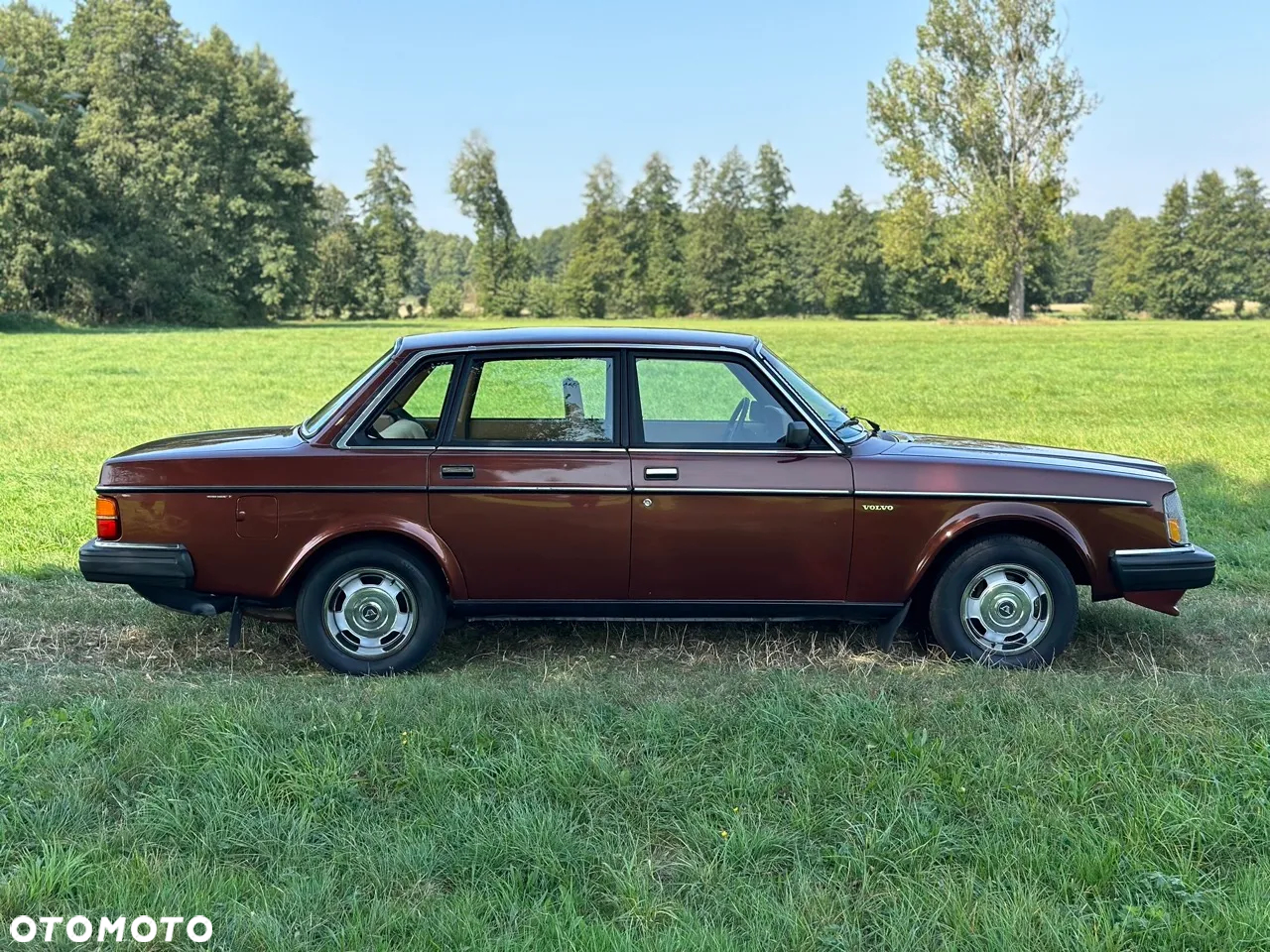 Volvo Seria 200 - 19