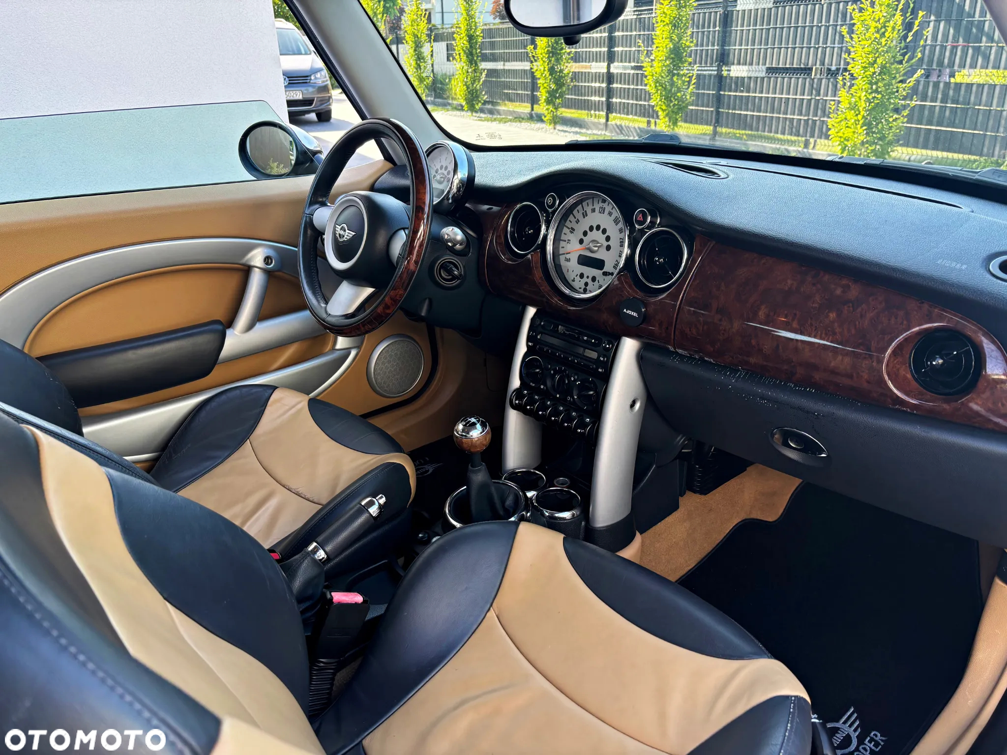 MINI Cooper pepper - 18