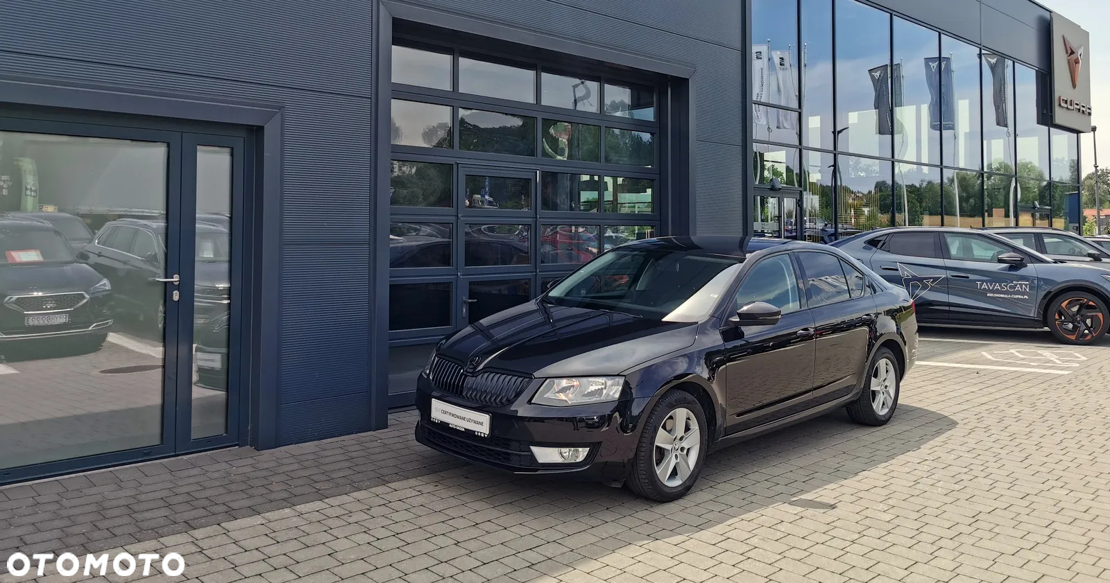 Skoda Octavia 1.4 TSI Ambition - 12