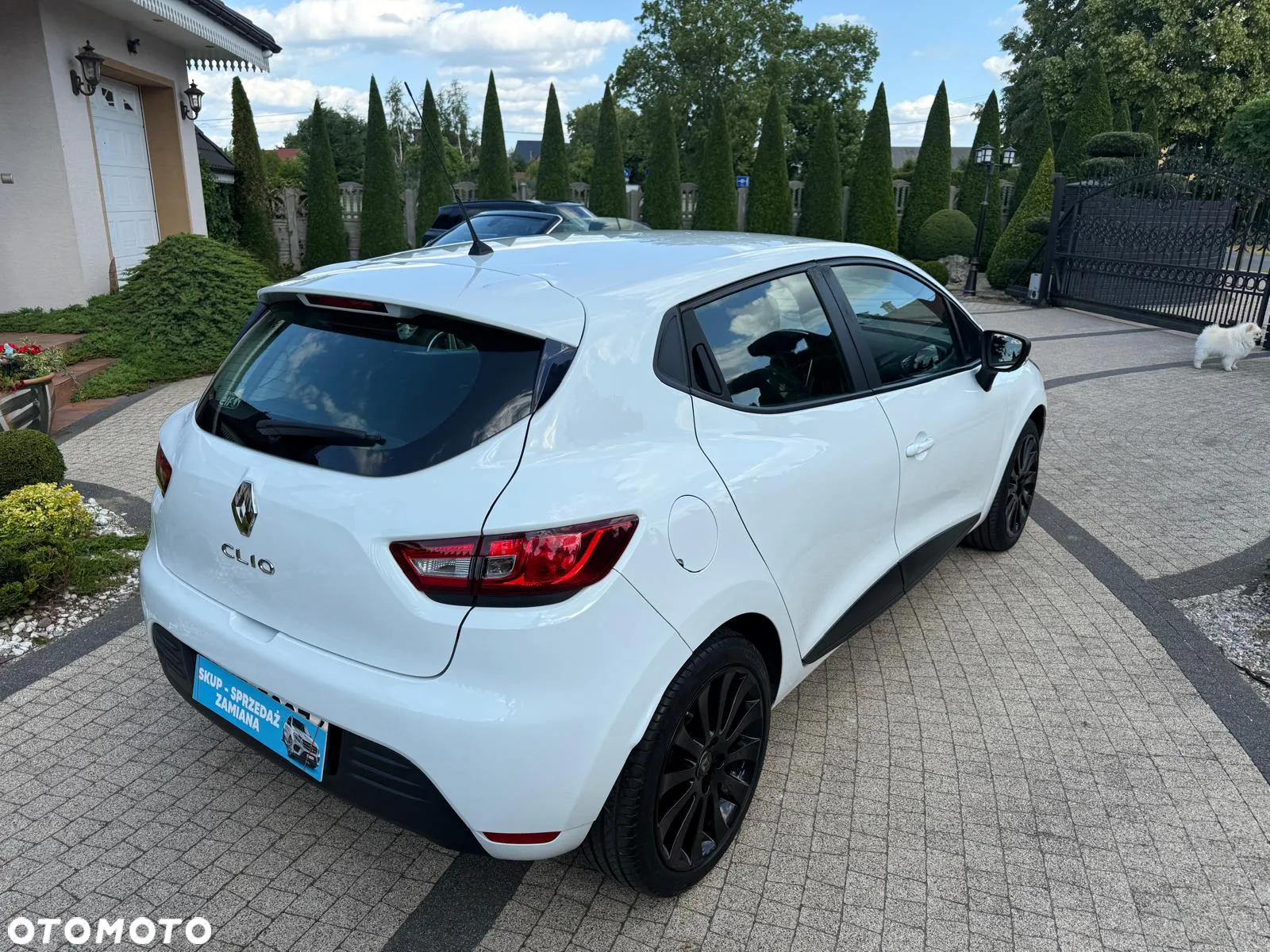 Renault Clio 1.5 dCi Energy Alize - 21