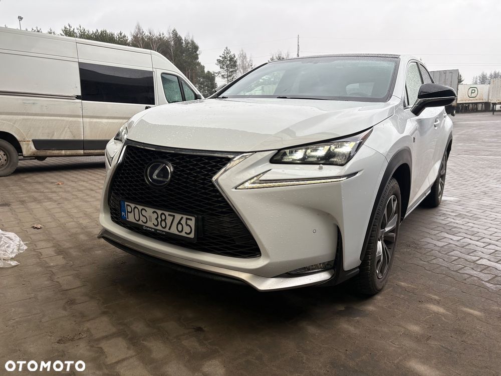 Lexus NX 300h F Sport Edition AWD - 15