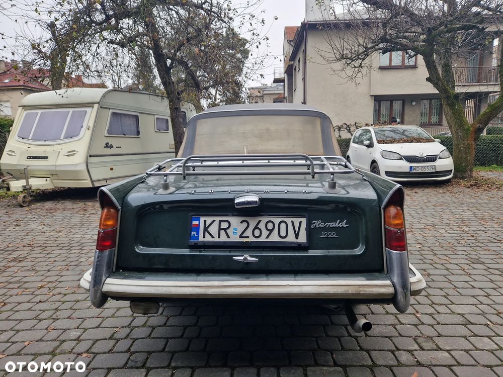 Triumph Inny - 5