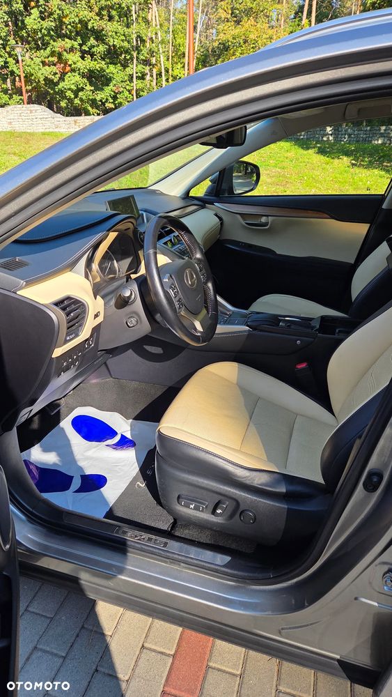 Lexus NX - 16