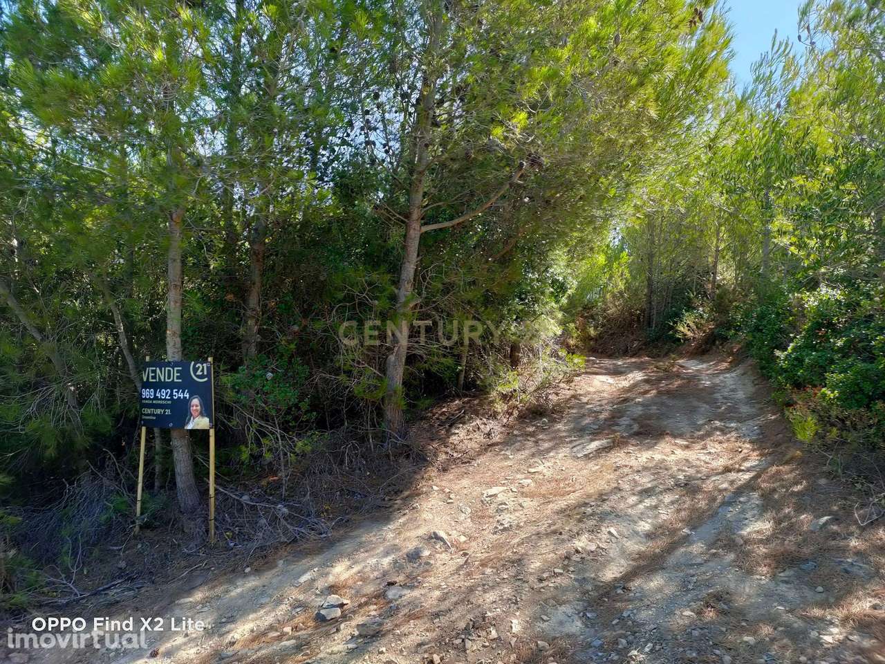 TERRENO - MALVEIRA DA SERRA - Grande imagem: 2/13