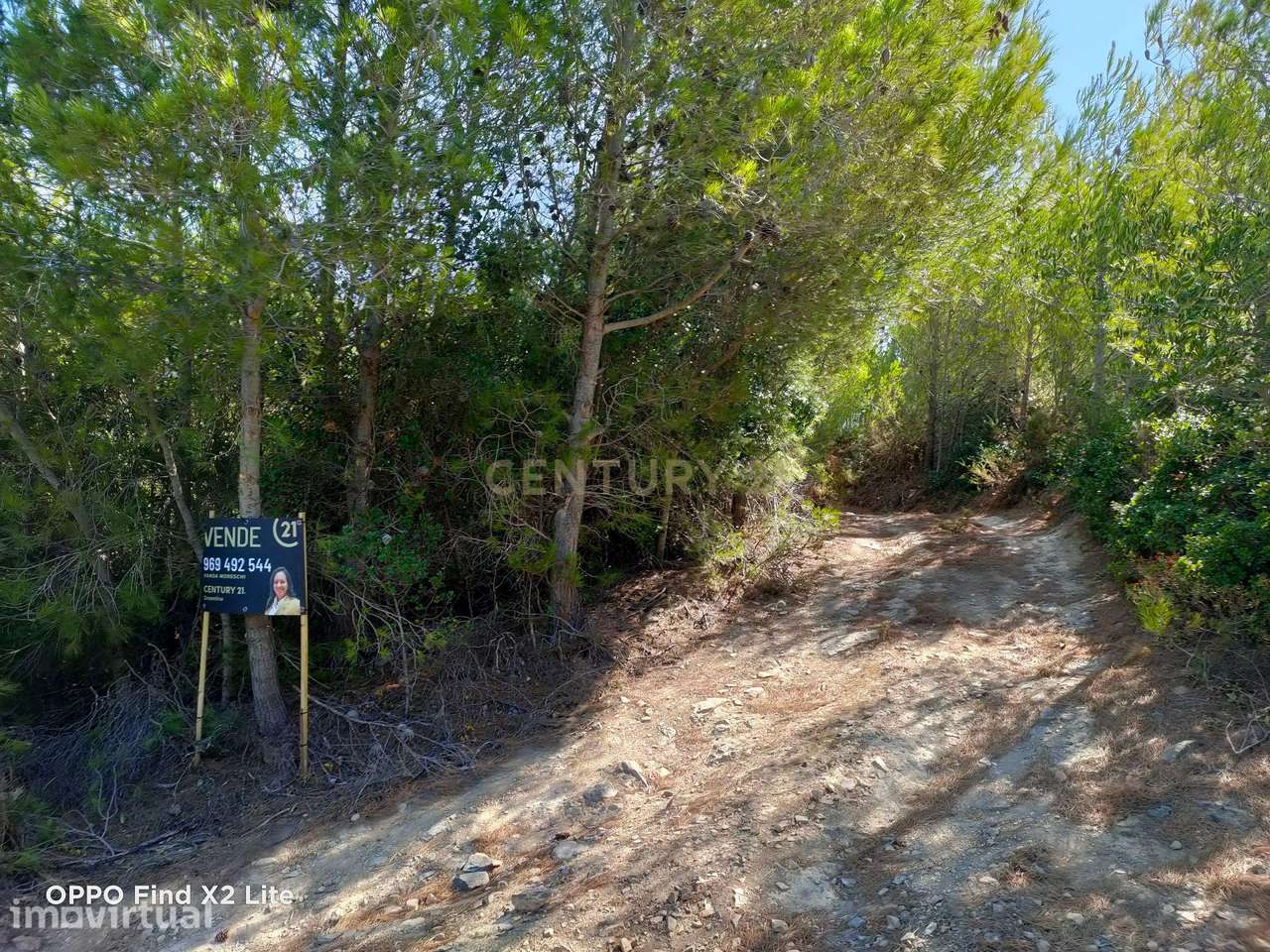 TERRENO - MALVEIRA DA SERRA - Grande imagem: 2/13