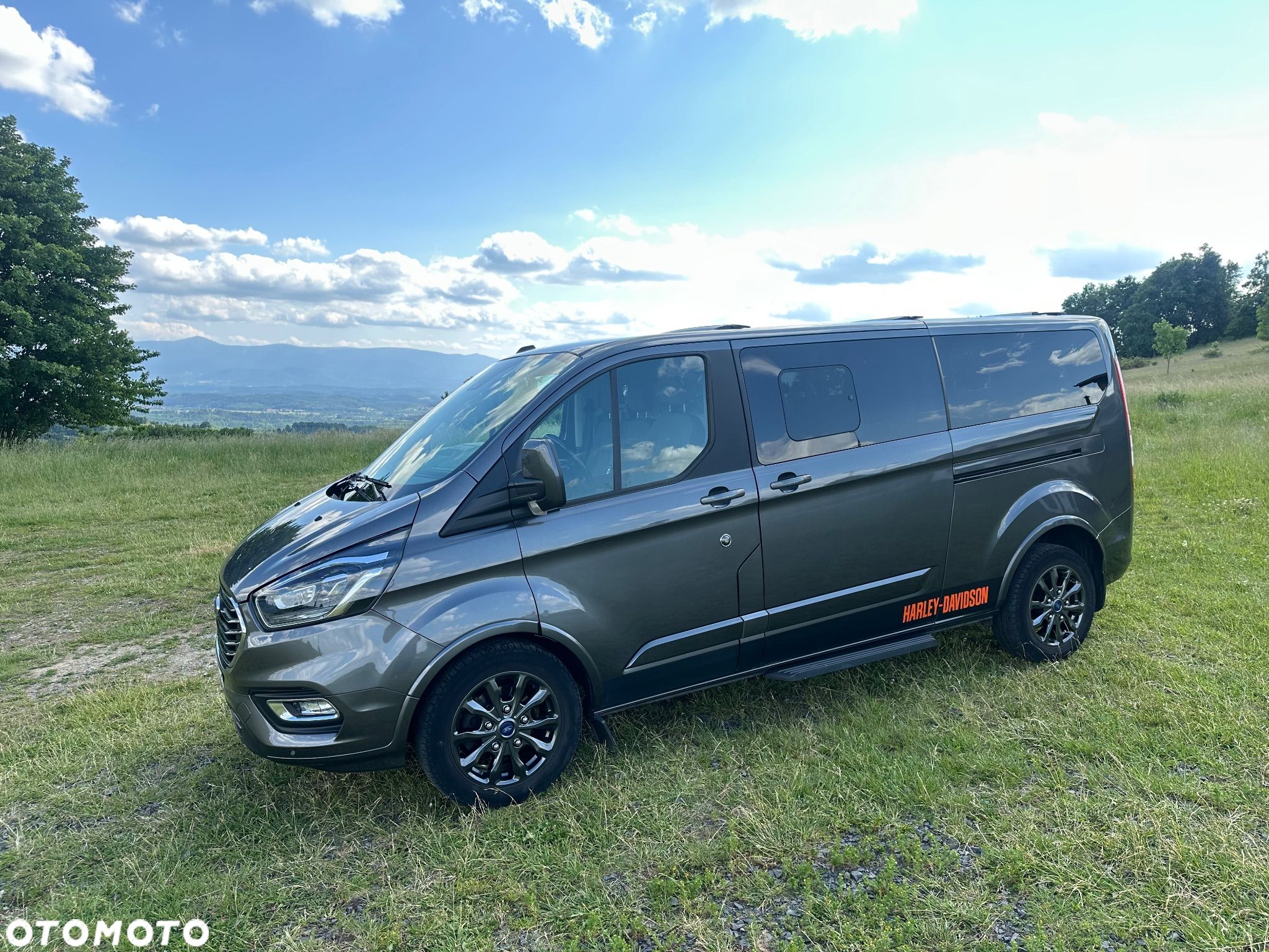 Ford Tourneo Custom - 1