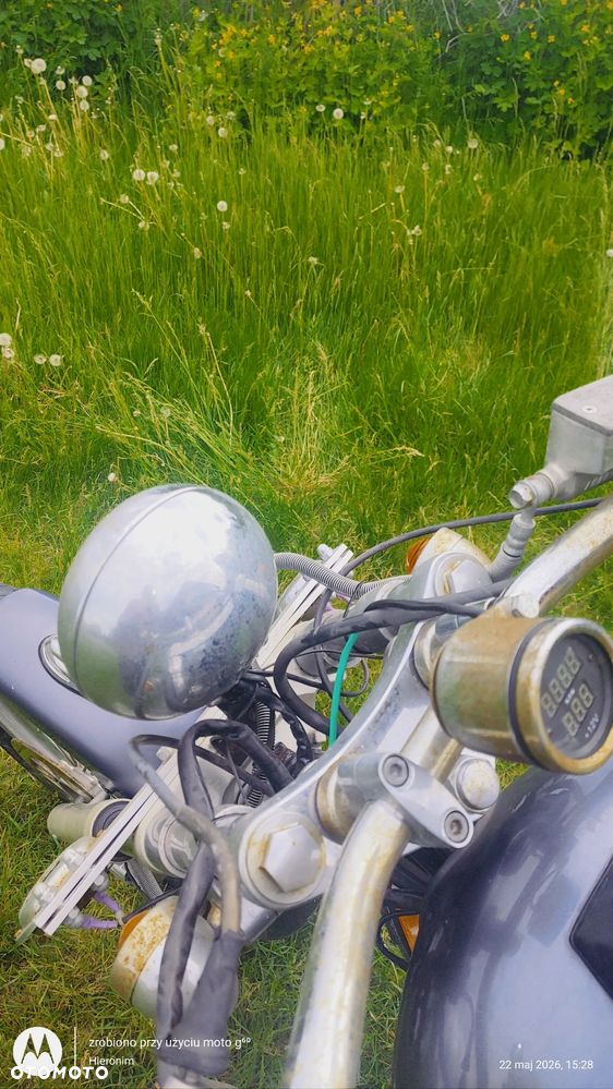 Suzuki Savage - 7