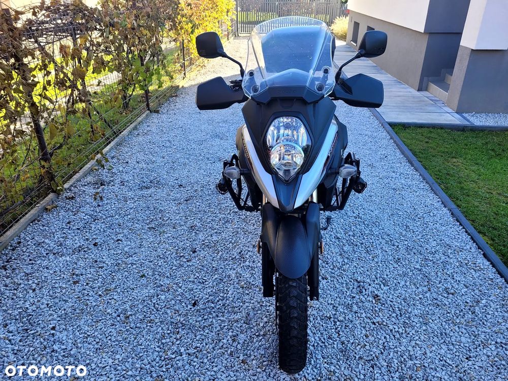 Suzuki DL - 8