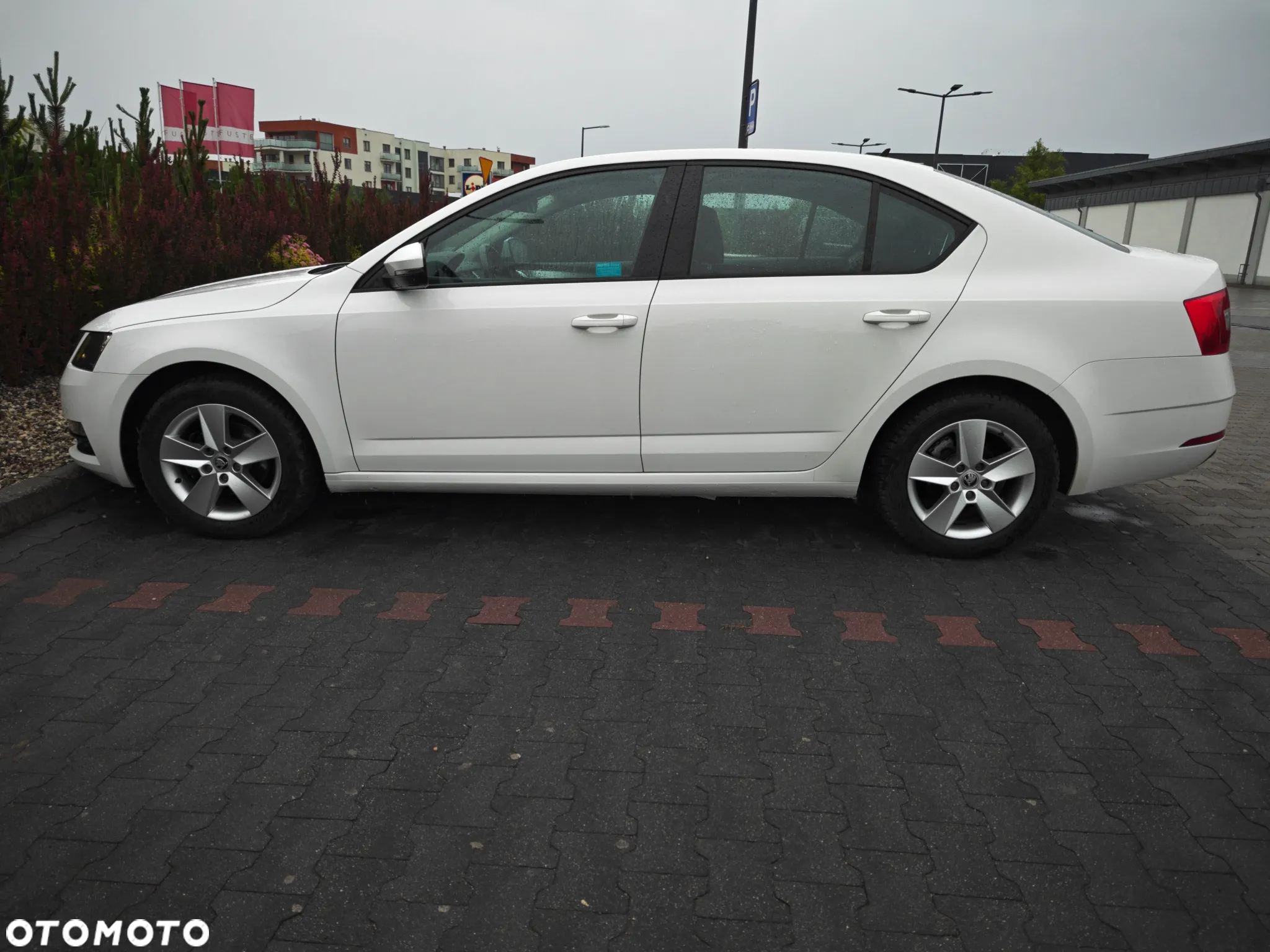 Skoda Octavia 1.6 TDI Ambition - 26