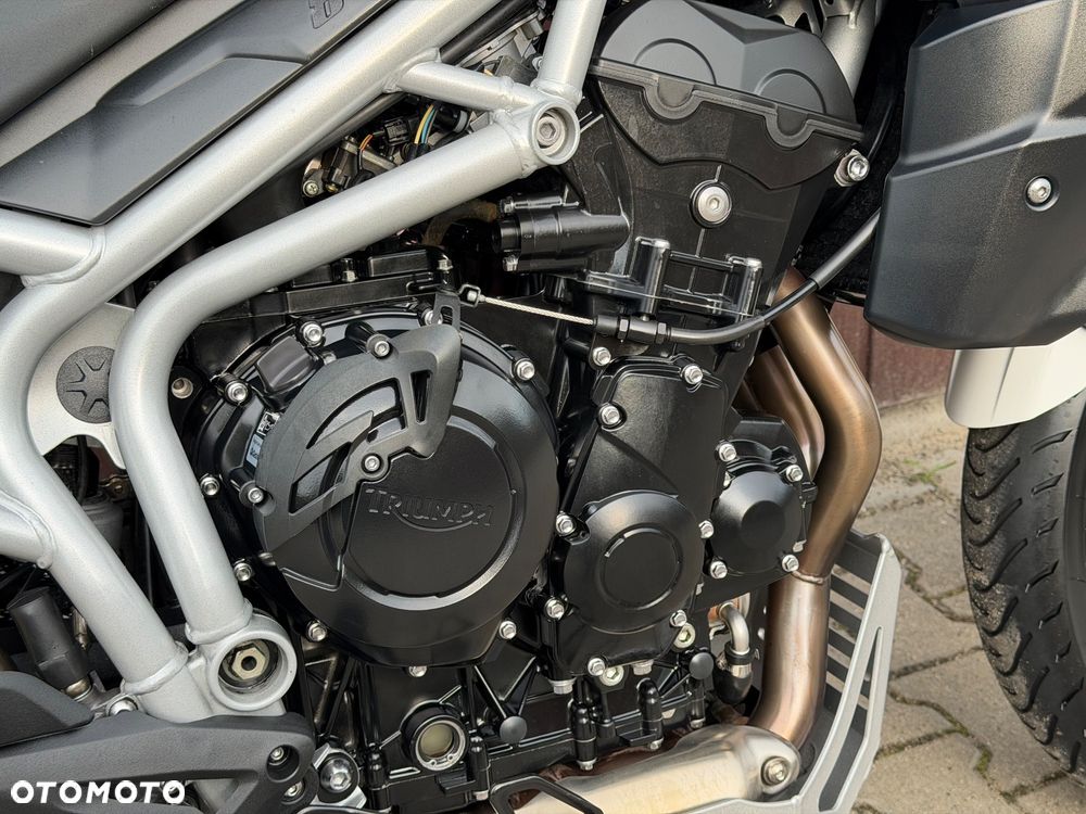 Triumph Tiger - 14
