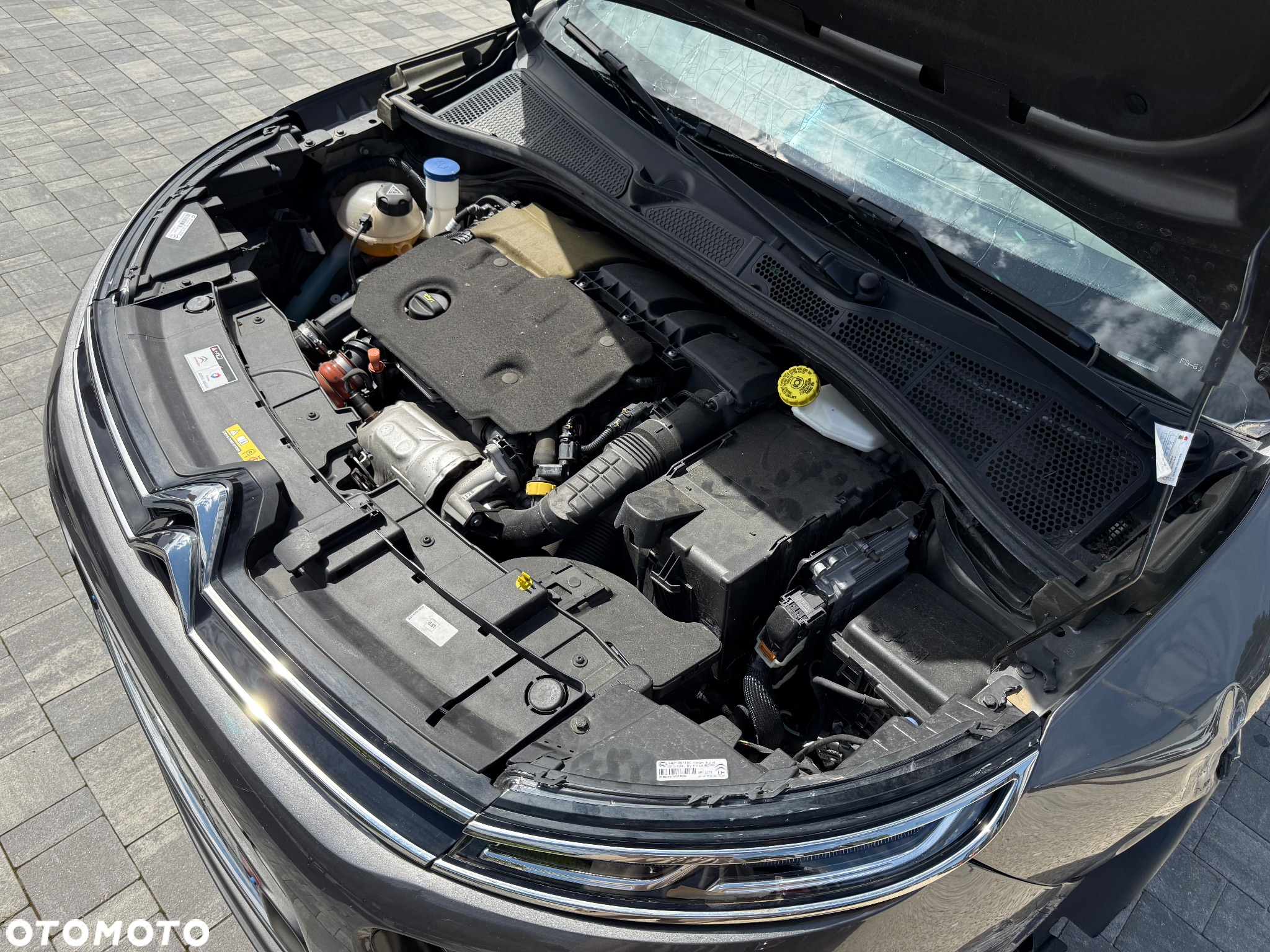 Citroën C4 Cactus - 26