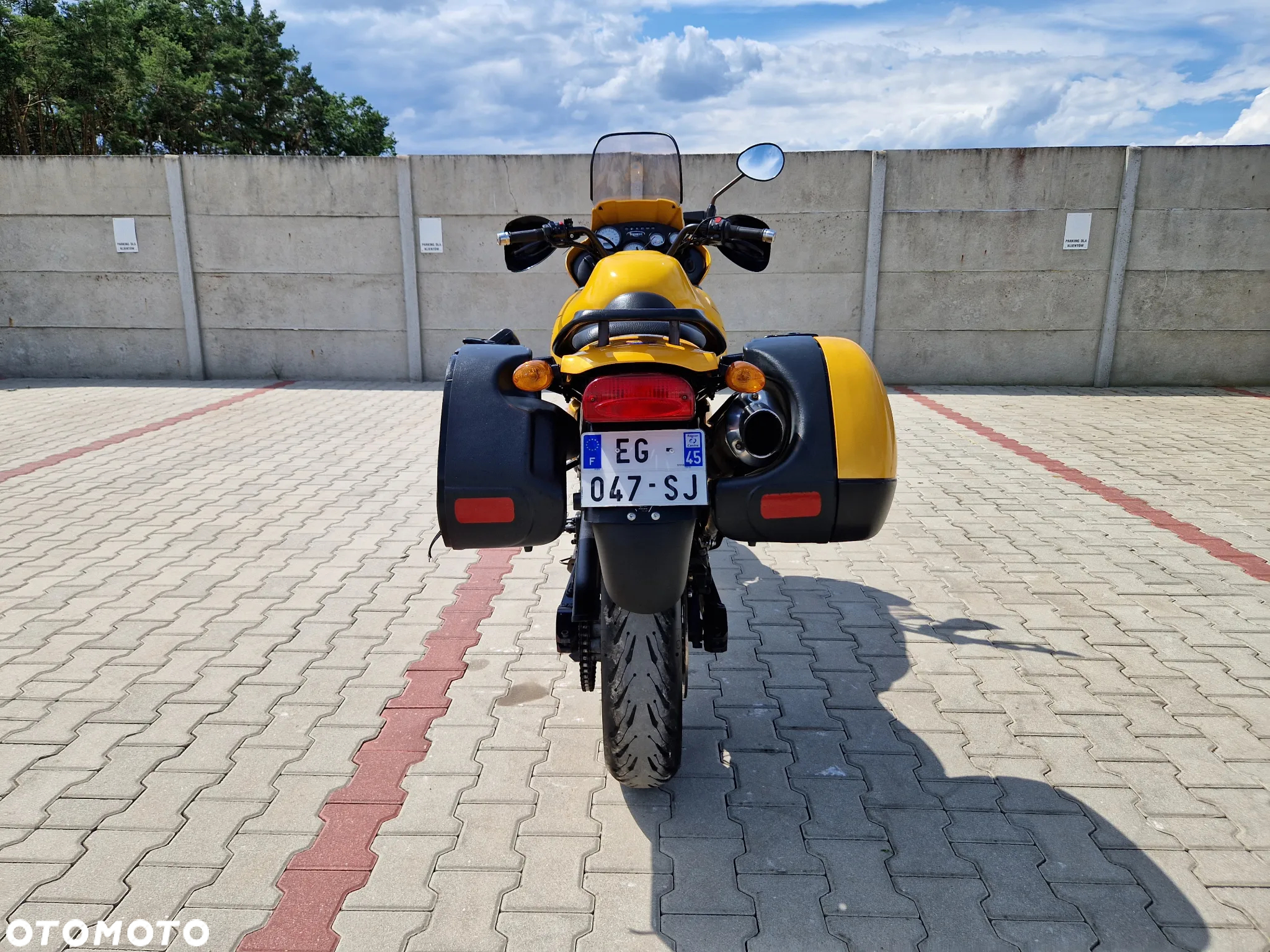 Triumph Tiger - 12