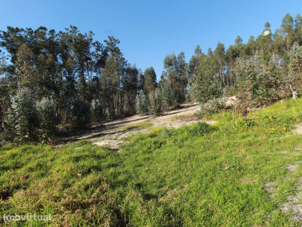 Lote de terreno com projeto aprovado - Grande imagem: 4/14