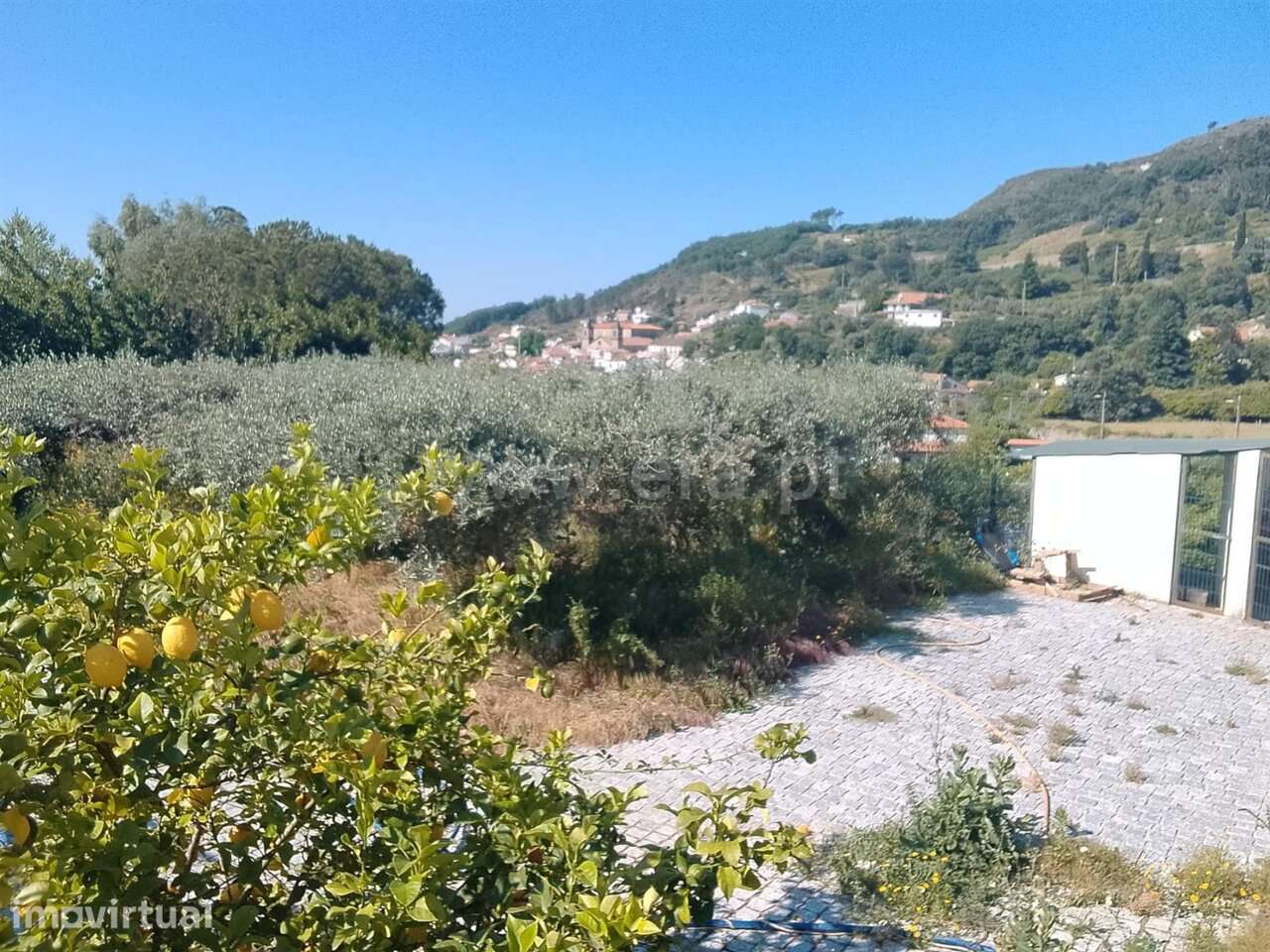 Terreno / Fundão, Alpedrinha - Grande imagem: 5/18