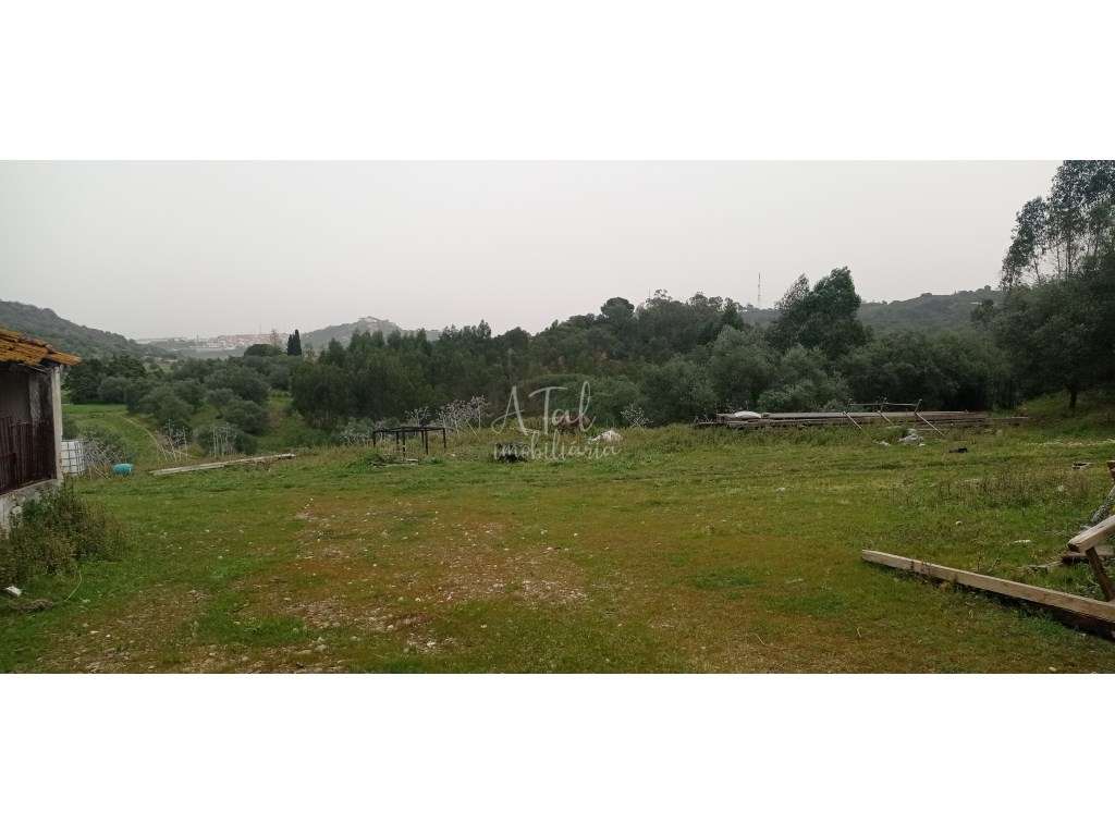 HERDADE NA SERRA DE PALMELA - Grande imagem: 3/22
