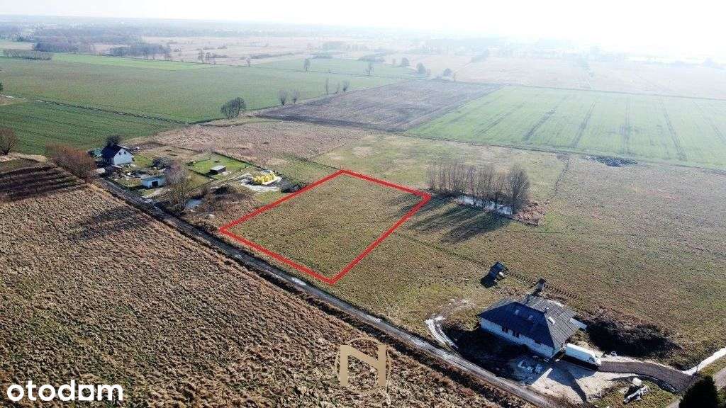 Działka, 4 200 m², Łagodzin - Pełny obrazek: 5/9